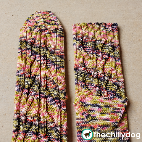 Birch Grove Socks - unisex, toe up, knit sock pattern with an afterthought heel, leaf-like cabled panels and slender, trunk-like ribbing up the sides. #thechillydog