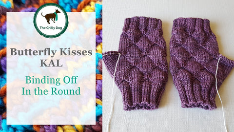 Butterfly Kisses Ear Warmer + Mitts: Knitting Pattern PDF