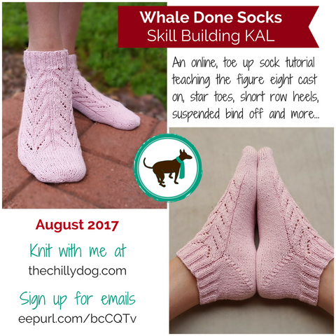Skill building KAL sock knitting pattern