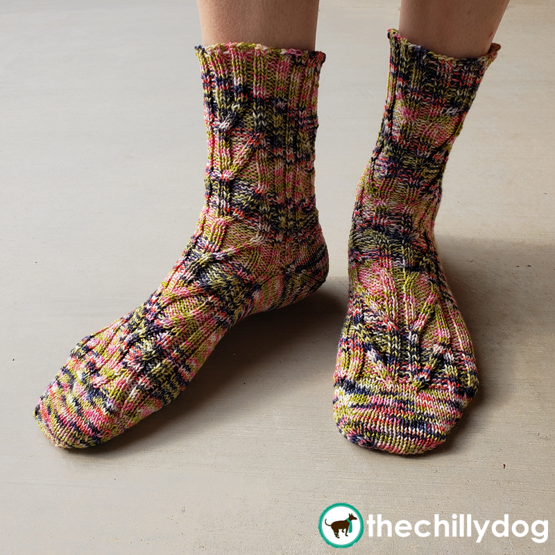 Birch Grove Socks: Knitting Pattern PDF– The Chilly Dog